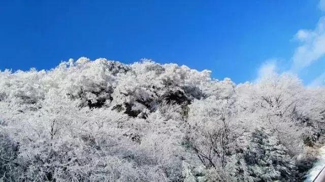 AMD财报“喜忧参半”：业绩指引不及预期 但AI芯片销售前景光明