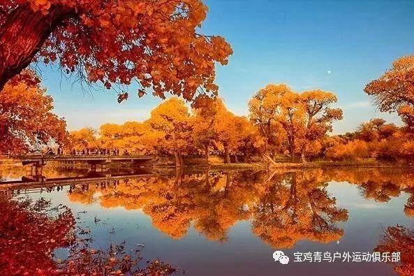 众合科技:拟3000万-6000万元回购公司股份